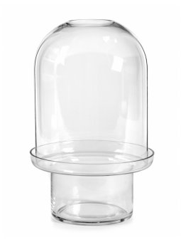 CARNIVORE VASE XL D22XH34