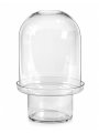CARNIVORE VASE XL D22XH34